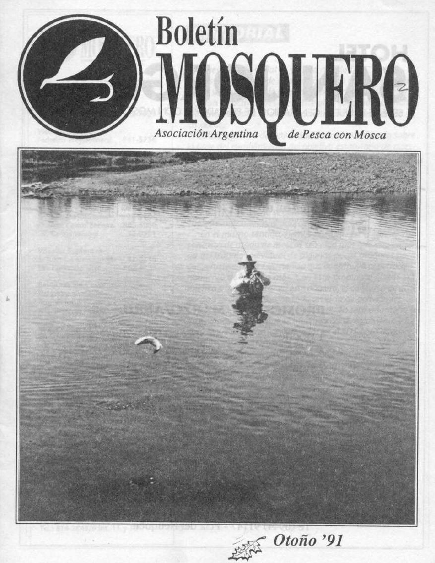 Boletin Mosquero Preview