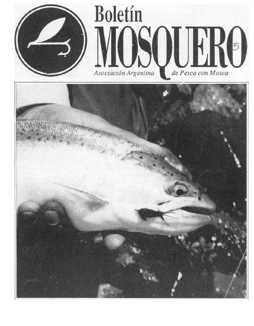 Boletin Mosquero Preview