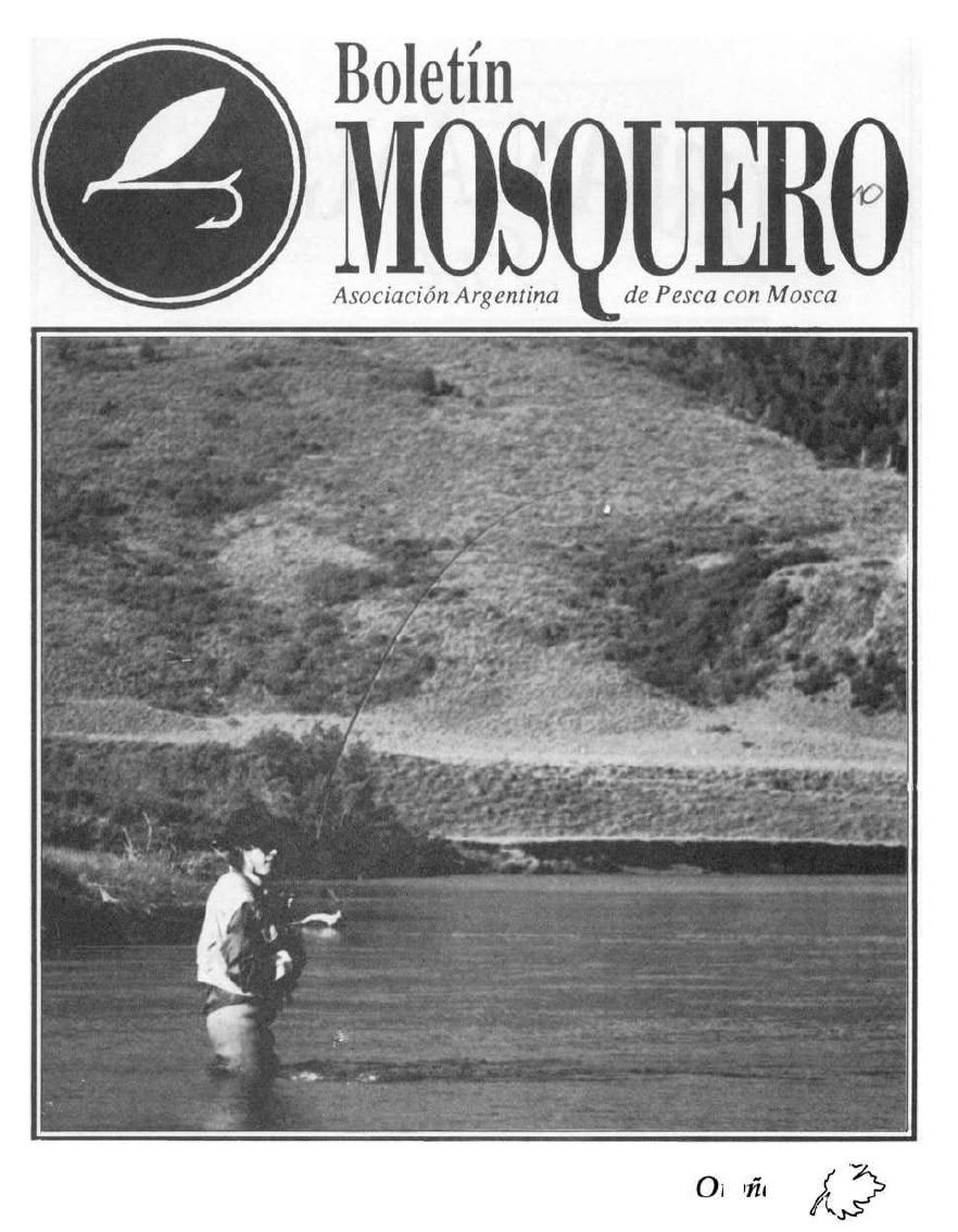 Boletin Mosquero Preview