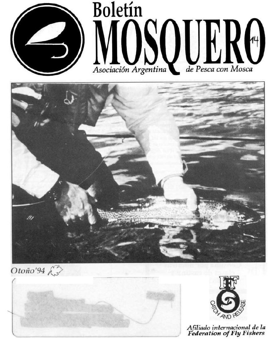 Boletin Mosquero Preview