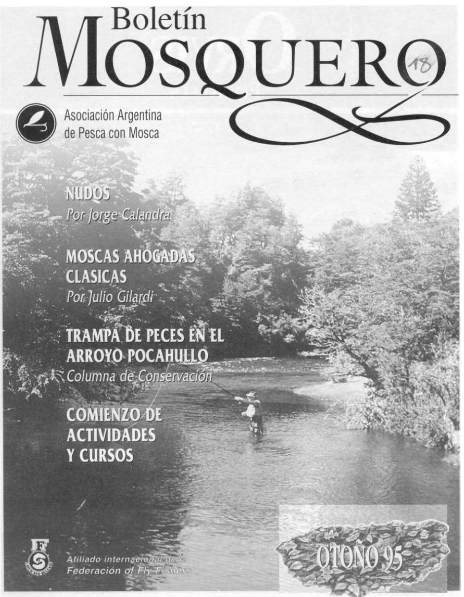 Boletin Mosquero Preview