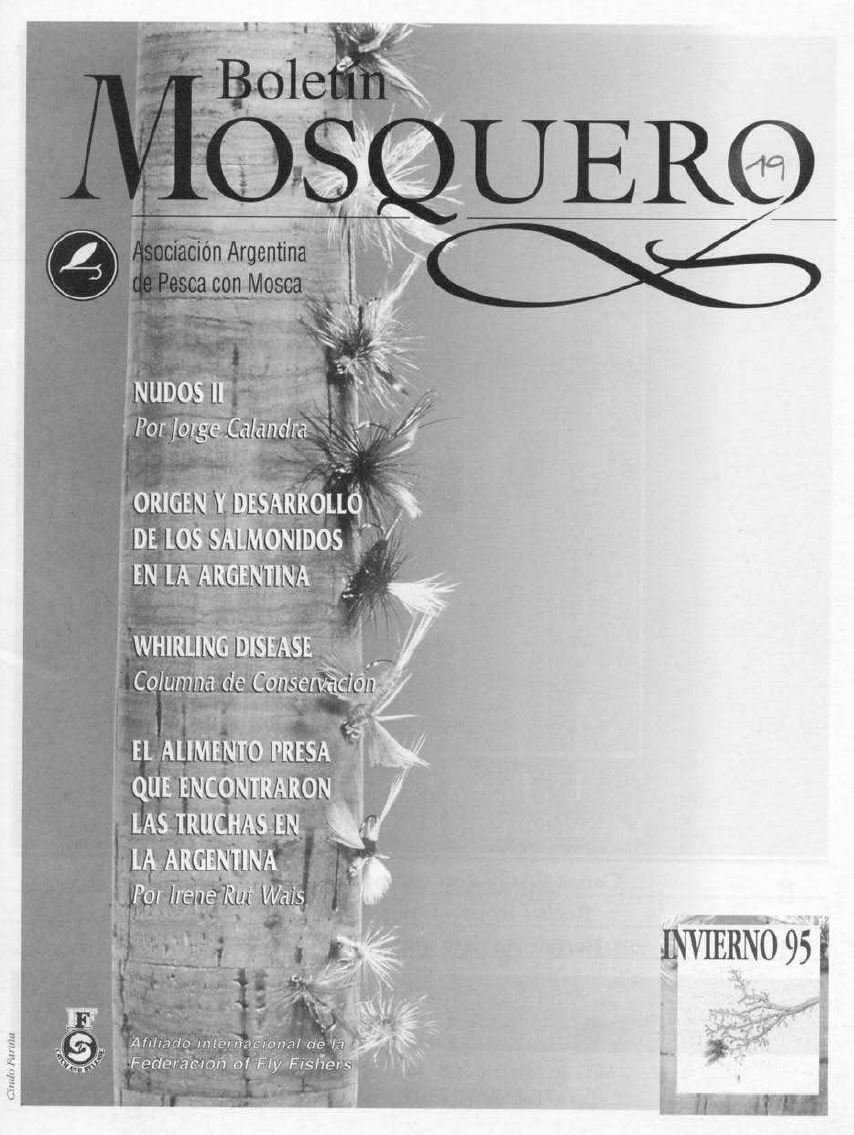 Boletin Mosquero Preview