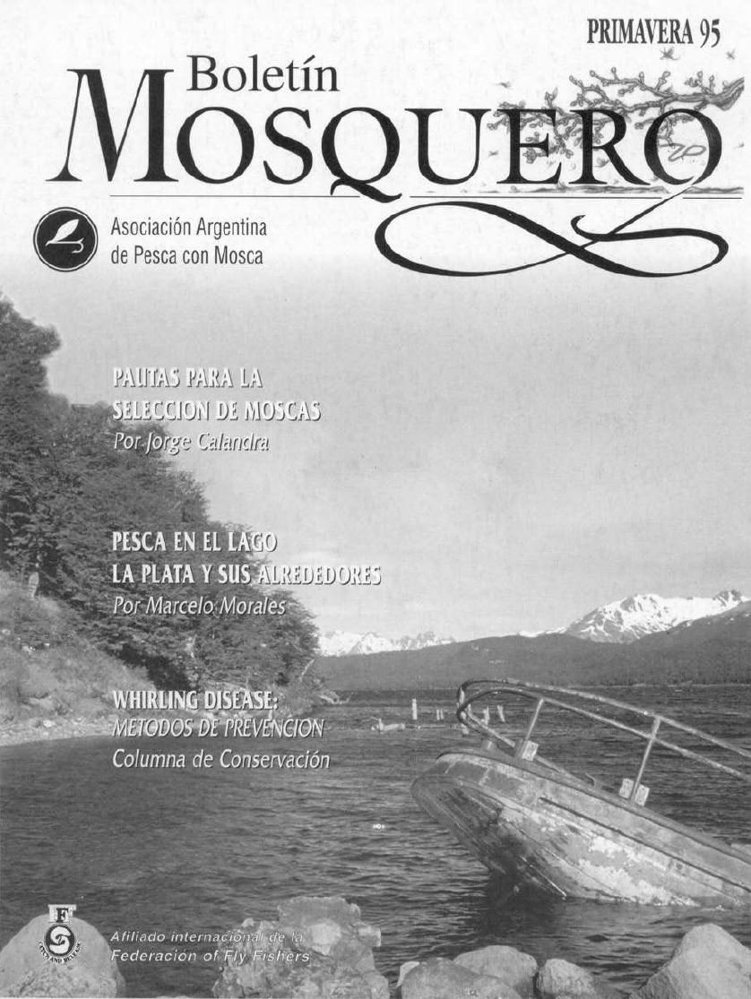 Boletin Mosquero Preview