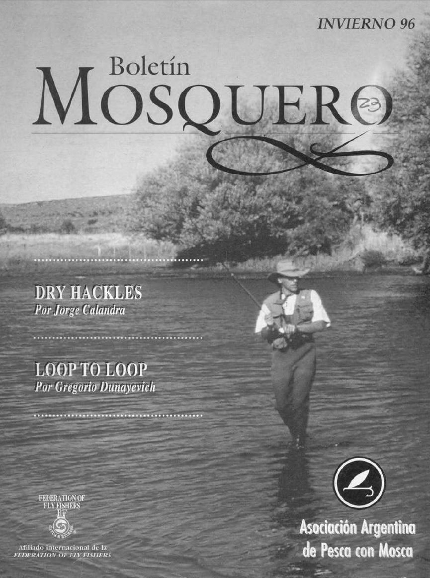 Boletin Mosquero Preview