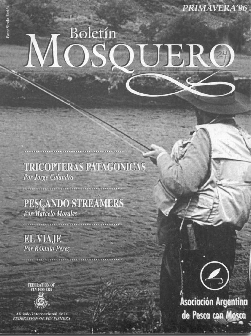 Boletin Mosquero Preview