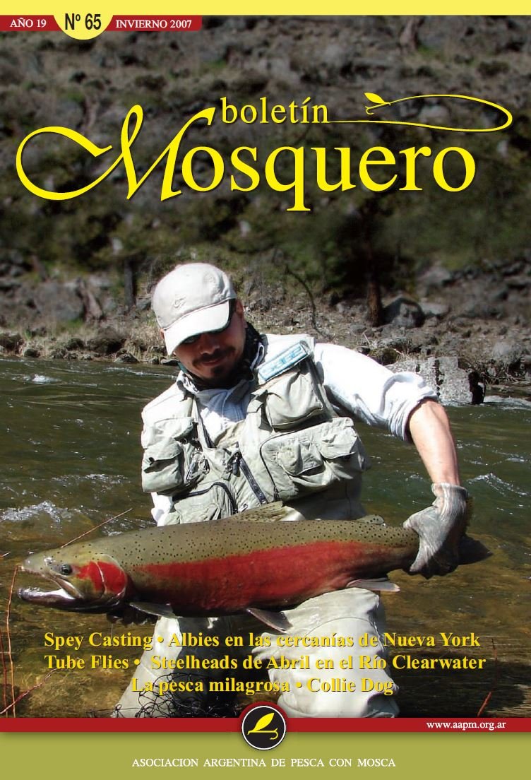 Boletin Mosquero Preview