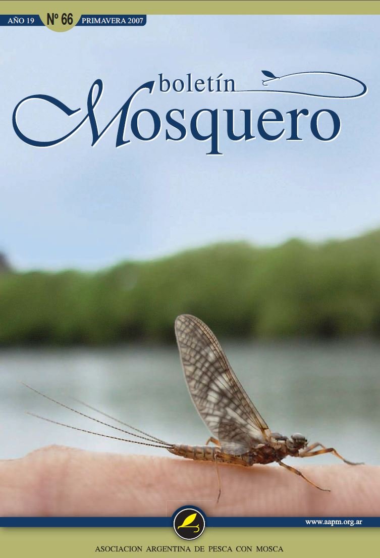 Boletin Mosquero Preview