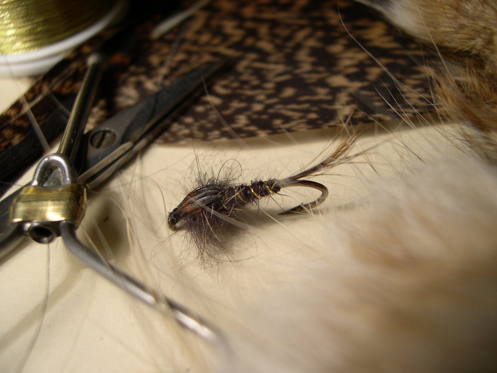 Imagen de la Categoria 'Ninfas/Humedas'