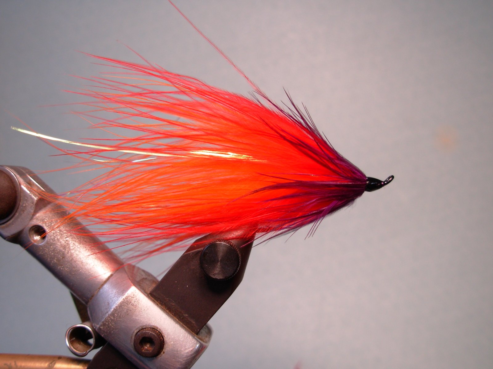 Imagen de la Categoria 'Otras Moscas'