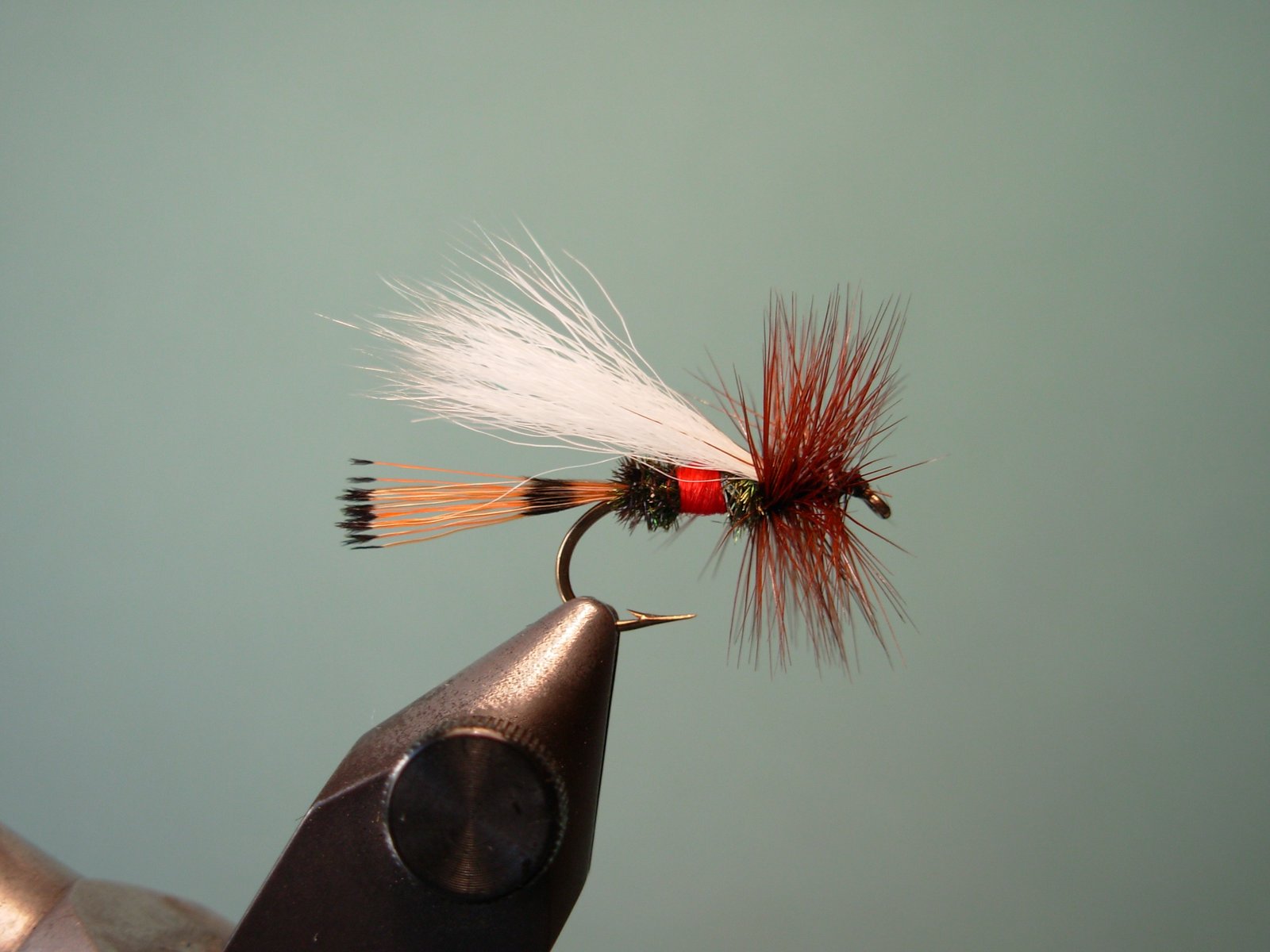 Imagen de la Categoria 'Secas/Emergentes'